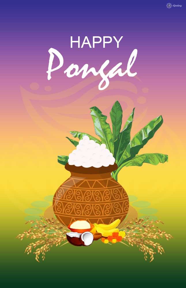 Pongal_2020_03 | eGreetings Portal