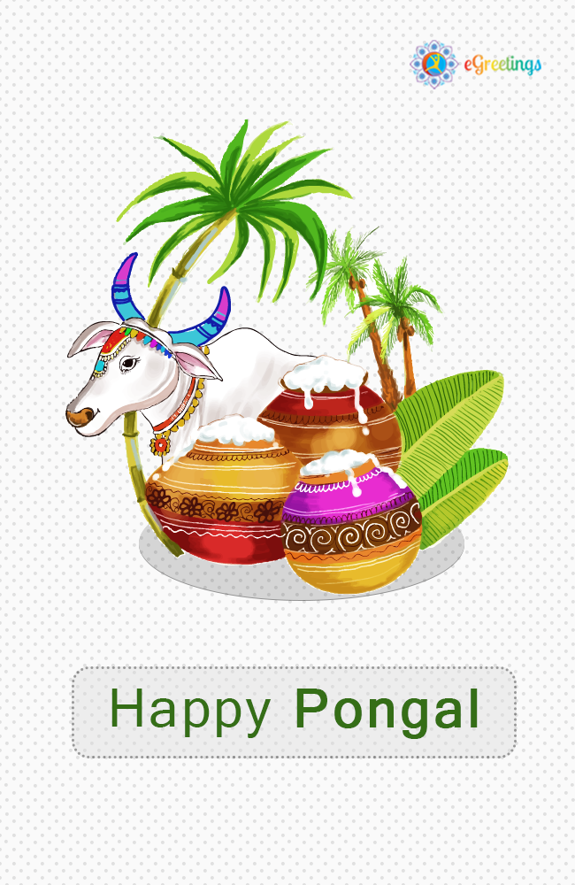 Pongal_1 | eGreetings Portal