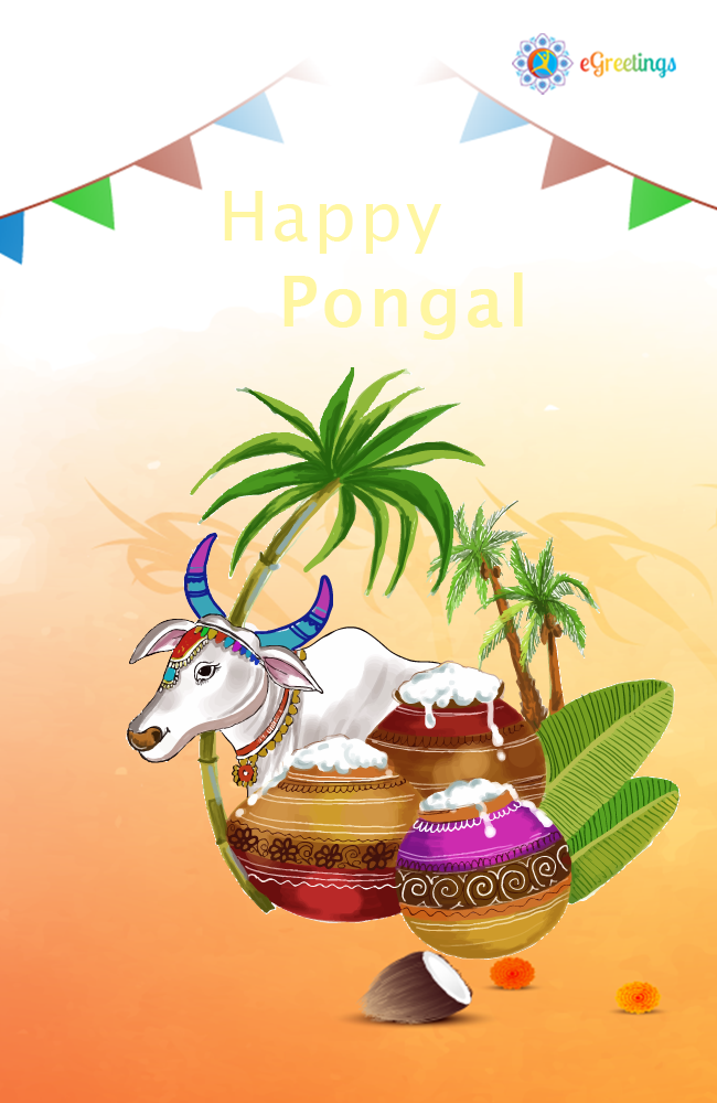 Pongal_13 | eGreetings Portal