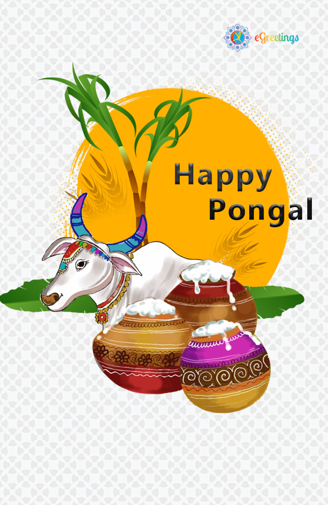 Pongal_14 | eGreetings Portal