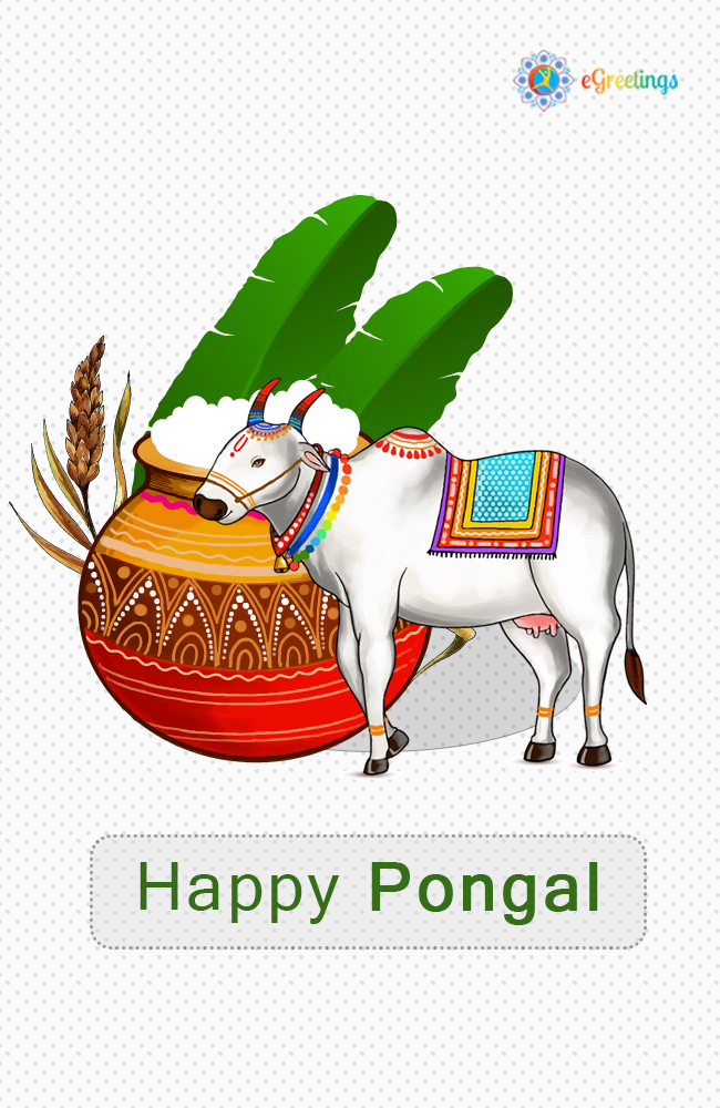 Pongal_2 | eGreetings Portal