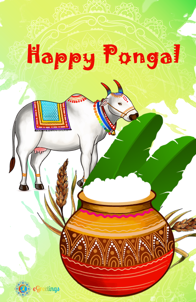 Pongal_3 | eGreetings Portal