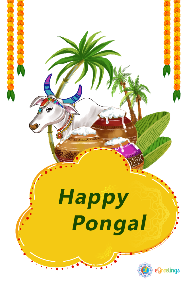 Pongal_6 | eGreetings Portal