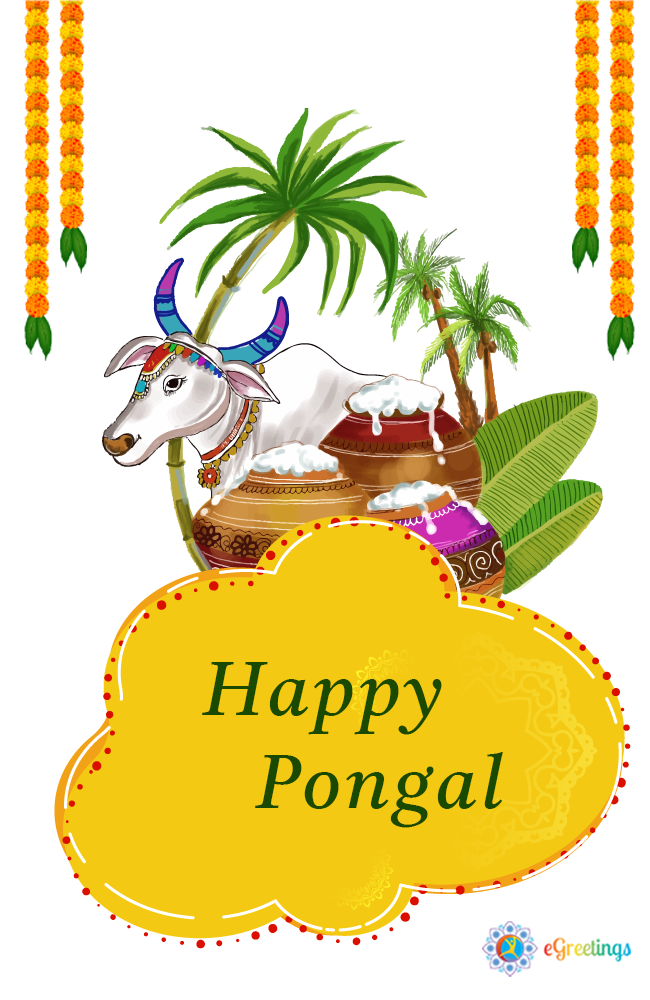 Pongal_7 | eGreetings Portal